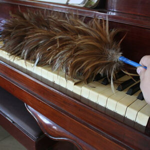 Dust Your Piano, Keep Your Passion Alive!